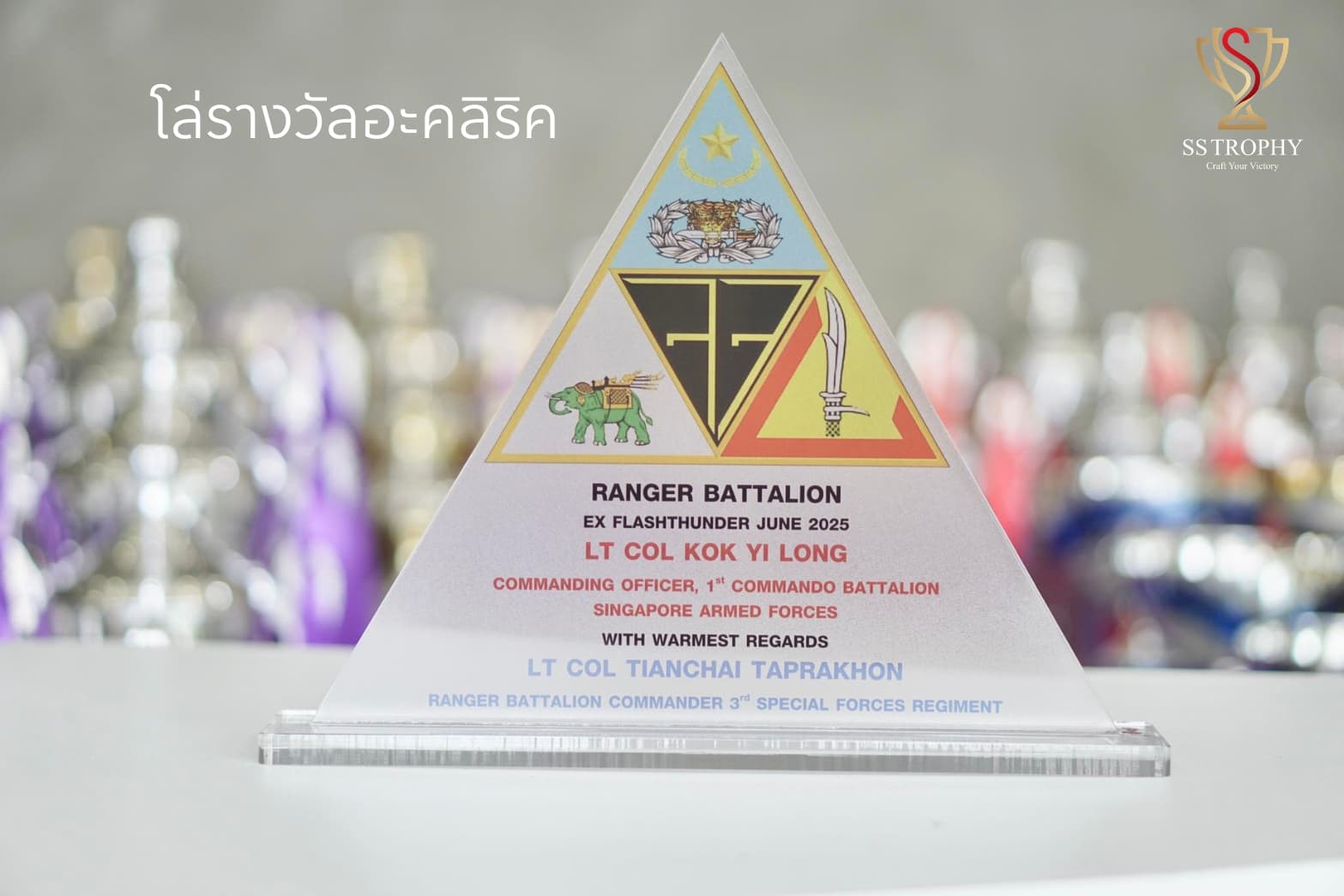 The Apex Triangle Acrylic Plaque