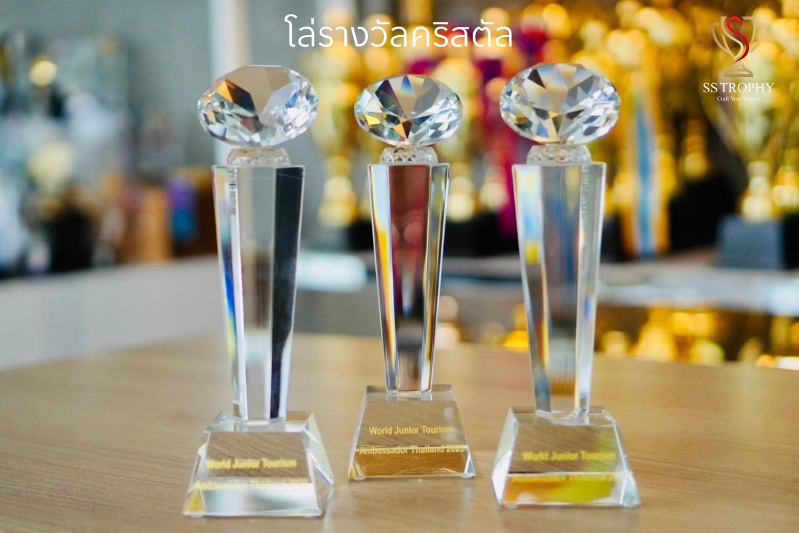 The Diamond Peak K9 Crystal Award