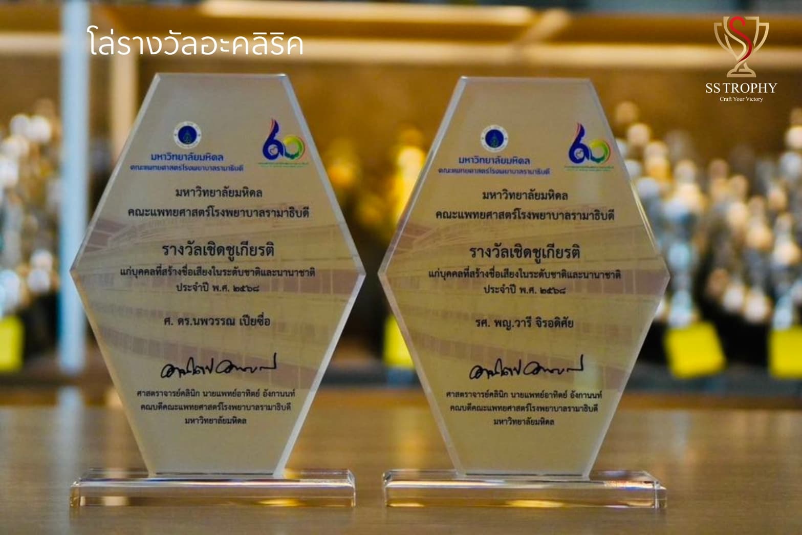 The Hexagon Excellence Acrylic Trophy