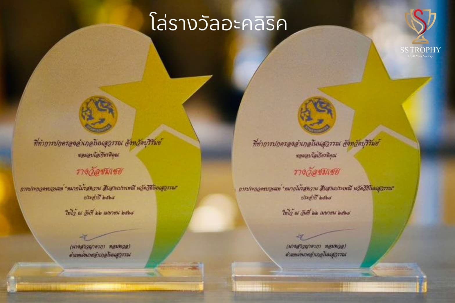 The Golden Star Aura Acrylic Trophy
